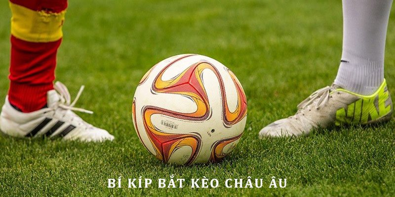 Chiến thuật đặt cược 1x2 đại thắng theo chuyên gia